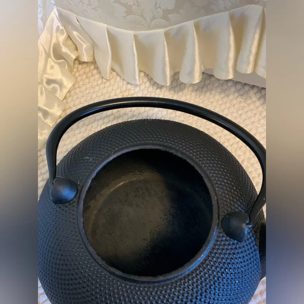 IKENAGA NAMBU IRON KETTLE